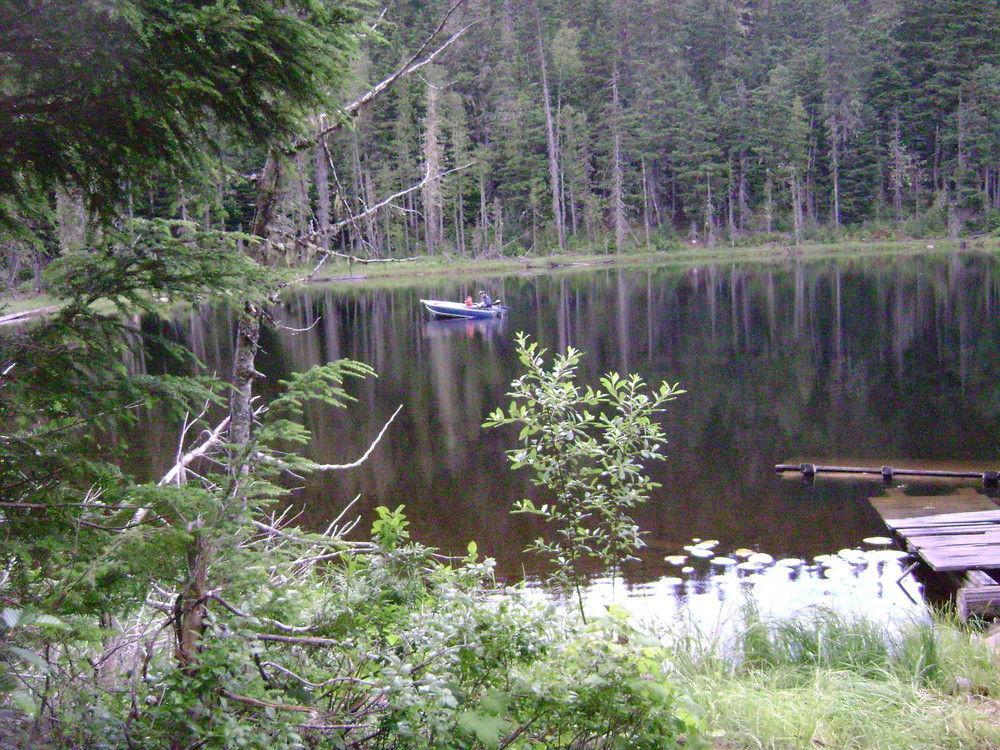 Blue River Cabins & Campgrounds Extérieur photo